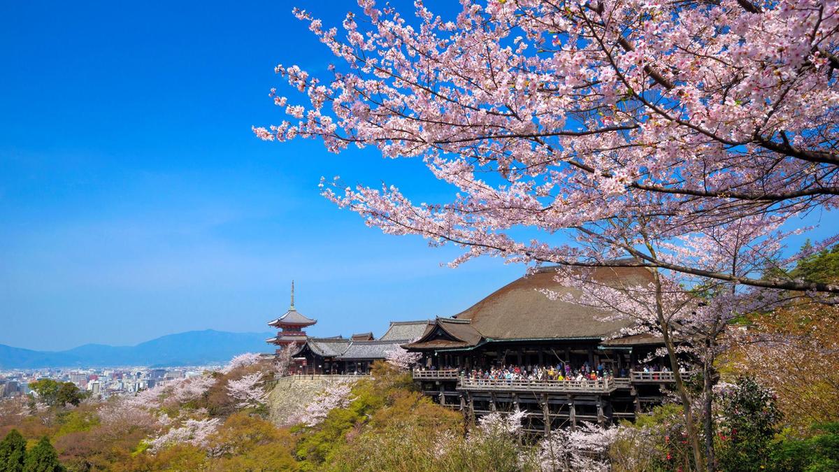 Para Wisatawan yang Ingin Meninggalkan Jepang Wajib Bayar 1000 Yen!